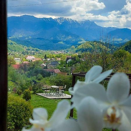 Отель Inspire View - Boutique Бран Экстерьер фото